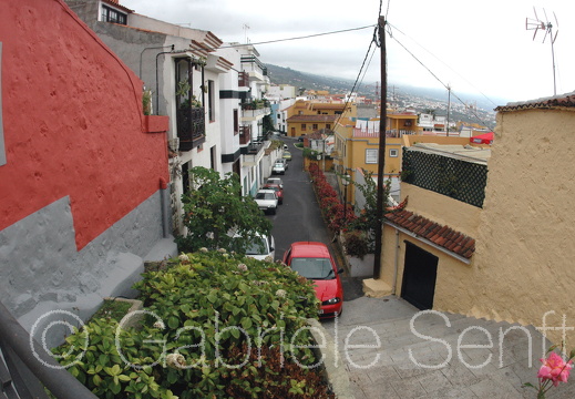 DSC 6056