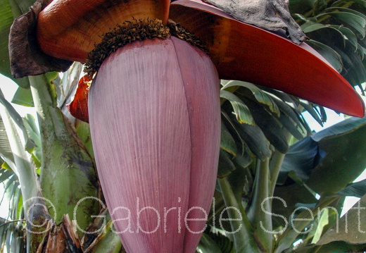 DSC 6074 1