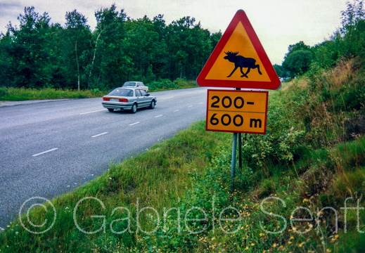 1991 Verkehrsschild, Gotland