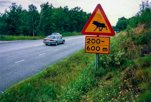 1991 Verkehrsschild, Gotland