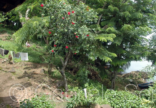 2008-07-26-19-21-05