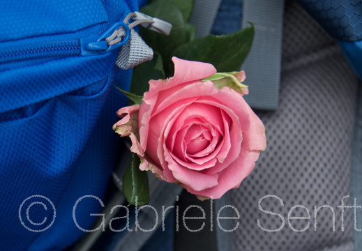 2015-06-26 um 19-13-02