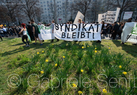 20190406-13-26-13-Bearbeitet-Bearbeitet