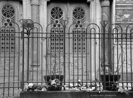 20191013-14-42-45-Bearbeitet