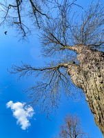 2025_04_04 Himmel in Köpenick