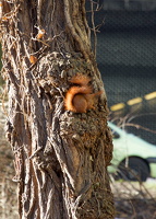 2018-02-04-13-23-16-Bearbeitet (1) Kopie