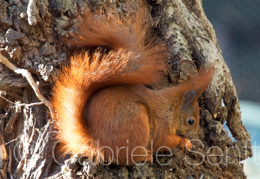 2018-02-04-13-23-54 Kopie