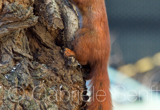 2018-02-04-13-24-00 Kopie