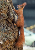 2018-02-04-13-24-00 Kopie