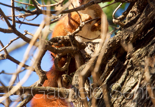 2018-02-04-13-25-17 Kopie