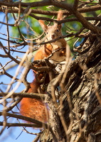 2018-02-04-13-25-17 Kopie