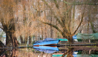 27. Januar 2019 Berlin Köpenick an der Baumgarteninsel