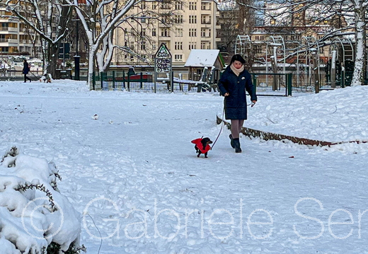 05.01.2026  an der Spree