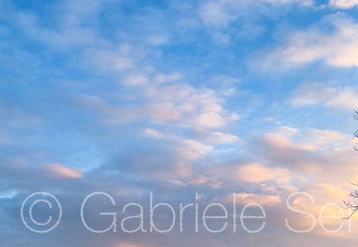 05.01.2026 Blick über die Dahme zum Schloss in Berlin Köpenick