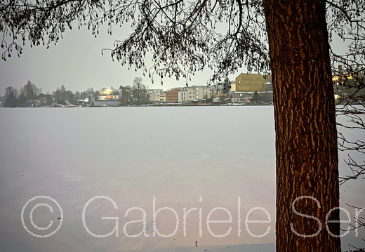 12.01.2026 Winter im Schloßpark Berlin Köpenick