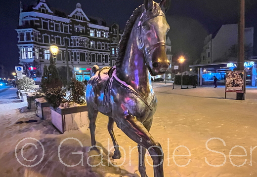 12.01.2026 auf dem Schloßplatz in der Altstadt Köpenick