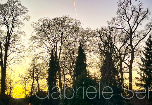 05.01.2026 Schlosspark  in Berlin Köpenick